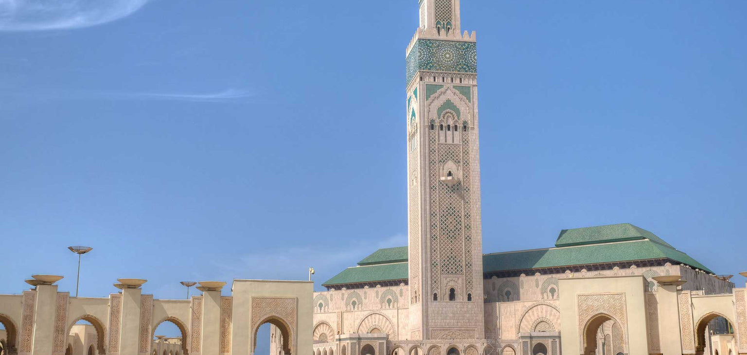 Section Image