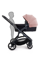 Orange 4 Rose Pushchair Bundle