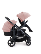 Orange 4 Rose Pushchair Bundle