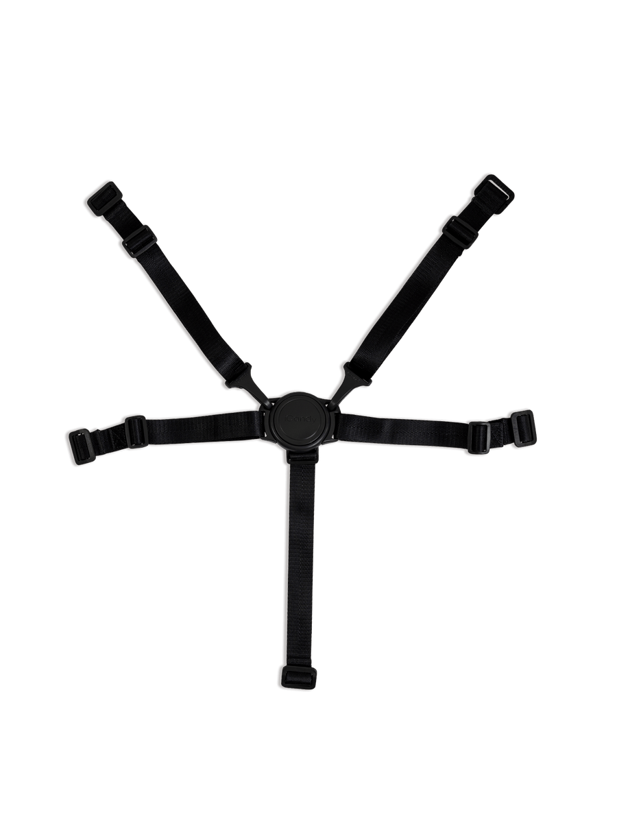 Lime 2020 Black 5-Point Harness