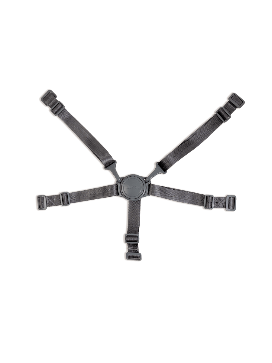 Lime 2020 Charcoal 5-Point Harness